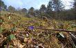 Projet Natagora à Ferrières